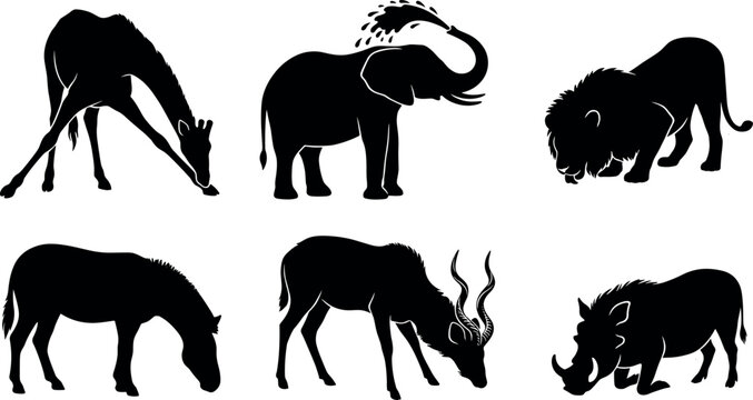 African Wildlife Silhouette Set with Giraffe Drinking Elephant Spraying Water Lion Prowling Zebra Kudu Antelope and Warthog for Safari Nature Graphic Designs