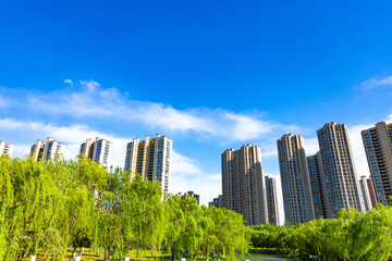 Residential Towers Above Green Park Under Blue Sky © LamQuang