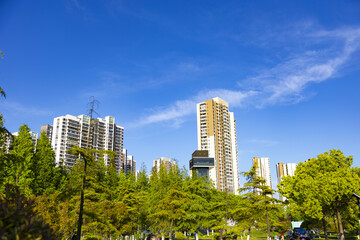 Obraz premium Modern City Skyline Above Green Park