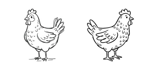 Fototapeta premium Hand drawn sketch illustrations of farm chickens isolated on white background sketches.