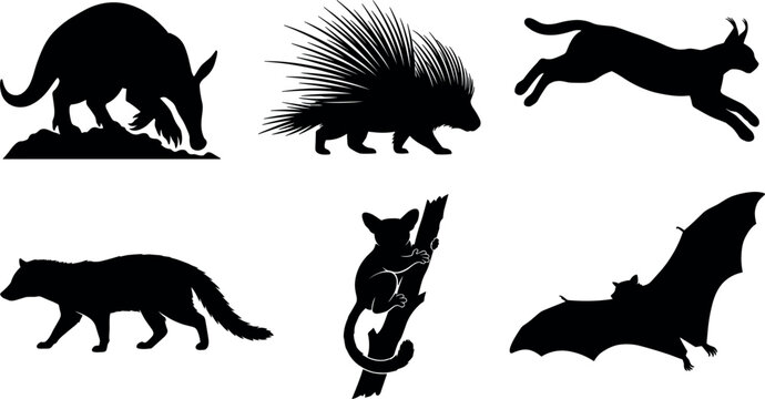 Exotic African Mammals and Nocturnal Wildlife Silhouette Set featuring Aardvark Porcupine Caracal Civet Bushbaby and Flying Bat Icons for Nature Graphic Designs