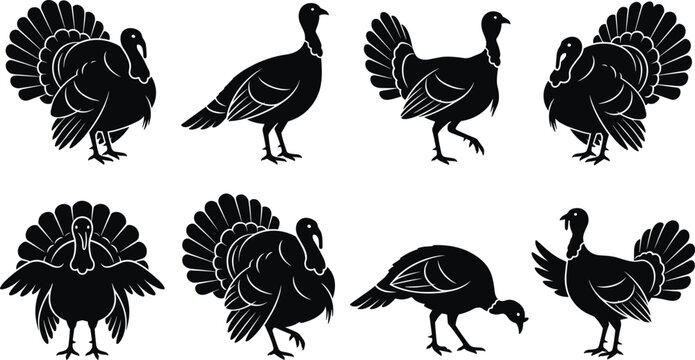 Set of black silhouettes of turkeys in various poses and angles isolated on a white background, for thanksgiving themes