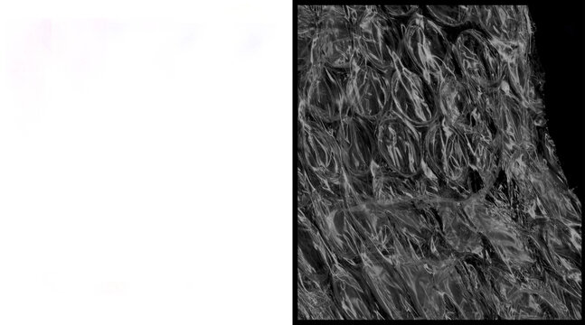 Microscopic collagen fiber texture, scientific scanning electron microscope view of connective tissue, biological protein structure background