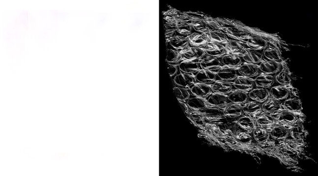 Microscopic fiber structure on black background, abstract organic cellular texture, scientific biological mesh pattern, intricate silver thread network