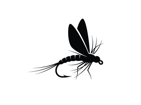 Fly Fishing Lure Artistic Black Fly Illustration