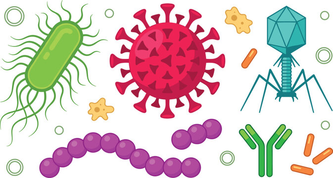 Microbiology and Virology Flat Vector Icon Set Featuring Bacteria, Coronavirus Structure, Bacteriophage, Streptococcal Chain, and Y-Shaped Antibody SymbolsMicrobiology and Virology Flat Vector Icon Se