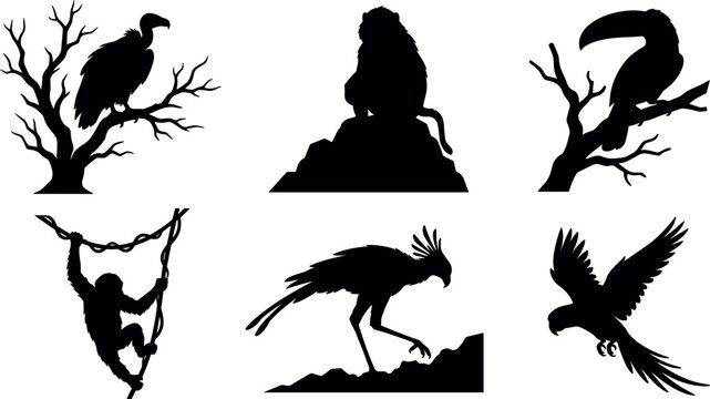 Jungle Wildlife Silhouette Set featuring Perched Vulture Baboon Toucan Climbing Monkey Secretary Bird and Flying Macaw Parrot Icons for Safari Nature Vector Designs