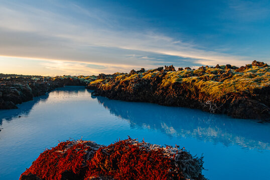 Volcanic lava formations beside the Blue Lagoon in Iceland with vivid moss colorful geothermal landscape and crystal blue water