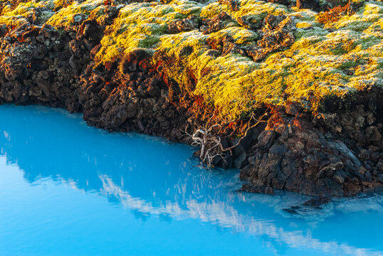 Volcanic lava formations beside the Blue Lagoon in Iceland with vivid moss colorful geothermal landscape and crystal blue water