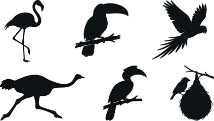 Tropical and Exotic Birds Silhouette Set featuring Flamingo Toucan Parrot Ostrich Hornbill and Weaver Bird with Nest Icons for Nature Wildlife Vector Graphic Designs © MdImran