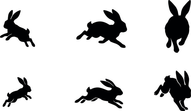 Wild Hare and Bunny Silhouette Set with Fast Running Jackrabbit Icons in Various Angles Front and Side View Sprinting Sequences for Wildlife Graphic Designs