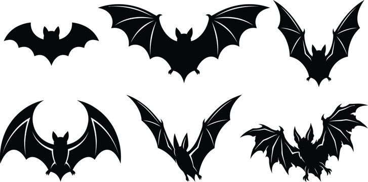 A collection of six distinct black silhouette bat icons isolated on a white background in various flight poses