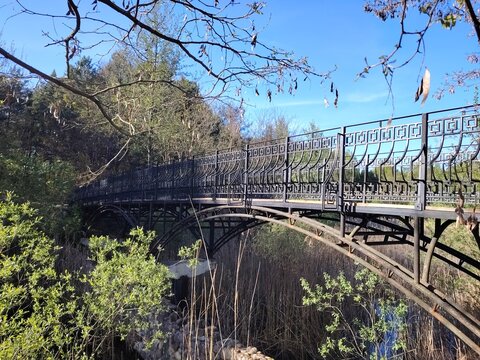 Elegant black metal footbridge with ornate railings in a sunny forest park