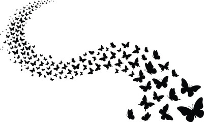 Butterfly swarm silhouette against a white background © Noyon