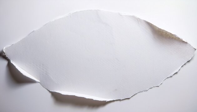 circular torn paper scrap with deckle edges isolated on white background providing copy space for creative design and marketing messages featuring textured white fiber and soft shadow for depth