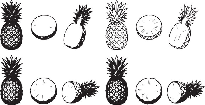 Pineapples and coconuts illustrations in black and white