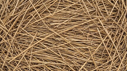 Obraz premium Dry straw texture background featuring natural golden and brown stalks, perfect for rustic agricultural or environmental design themes