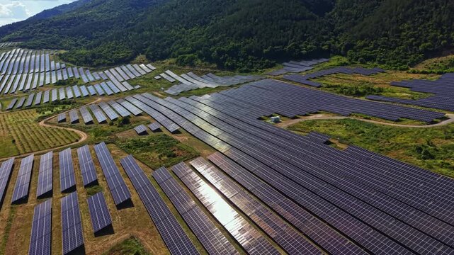 Rows of solar panels stretch across the landscape under clear skies. The sun reflects off the panels, showcasing the energy production in a rural area during daytime.