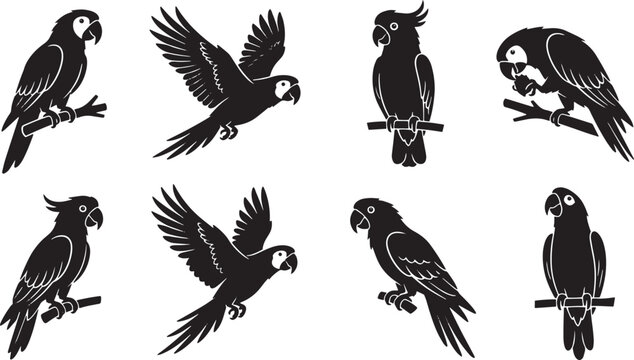 Black parrot, parakeet, and cockatoo silhouettes, bird icons, animal graphics, wildlife illustrations isolated on Transparent Background