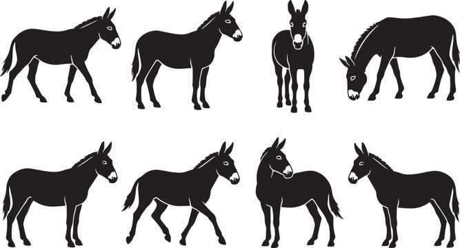 Donkey silhouettes, donkey icons, black donkeys, animal graphics, vector set isolated on Transparent Background
