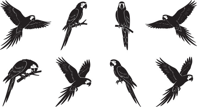 Black parrot silhouettes, flying birds, parrot icons, bird graphics, vector illustrations isolated on Transparent Background