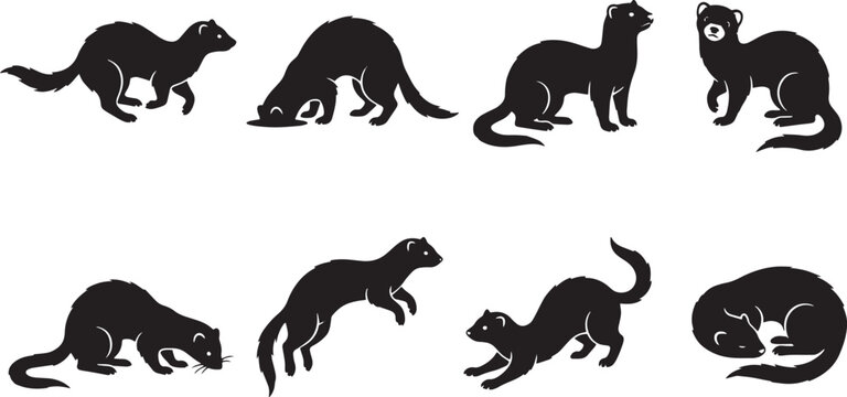 Ferret, ferret silhouettes, black ferret icons, ferret illustrations, animal set isolated on Transparent Background