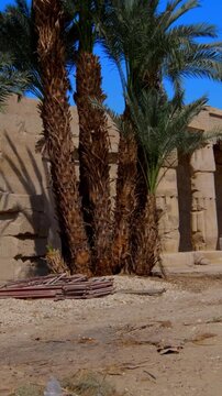Seti I mortuary temple exterior with Osiride colonnade and palm trees in Luxor
