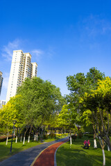 Naklejka premium Urban Park with Trees and High-Rise Apartment Buildings
