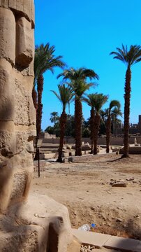 Seti I mortuary temple entrance with palm tree alley and ancient stone ruins in Luxor Egypt. Scenic pathway under vivid blue sky.