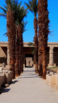 Seti I mortuary temple entrance with palm tree alley and ancient stone ruins in