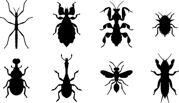 Extreme Morphology and Camouflage Insect Silhouette Vector Bundle Featuring Stick Insect, Mantis, Beetles, Weevil, Wasp, and True Bug Species