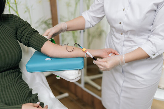 Close-up of phlebotomist in clinic drawing blood from woman arm for health exam, then removing butterfly needle and applying cotton swab to venipuncture site while wearing gloves.