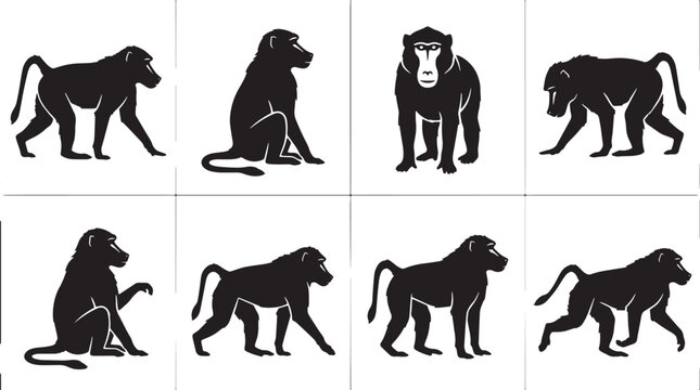 Monkey silhouettes, primate icons, black animal graphics, vector illustrations isolated on Transparent Background