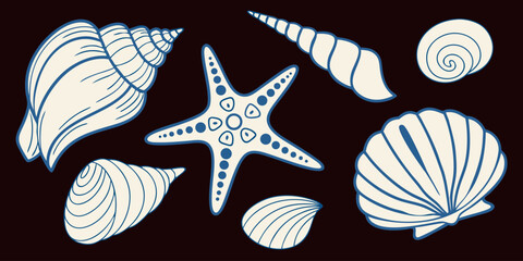 Set of hand drawn sea shells and starfish for summer beach elements vector illustration of marine life elements. © Marjahan