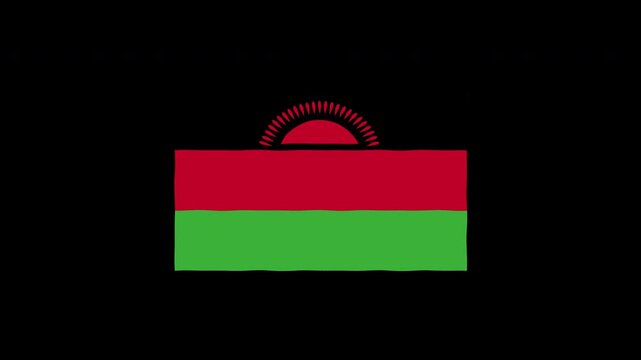 Waving Belarus Flag Animation Loop Seamless Motion Graphics Background
