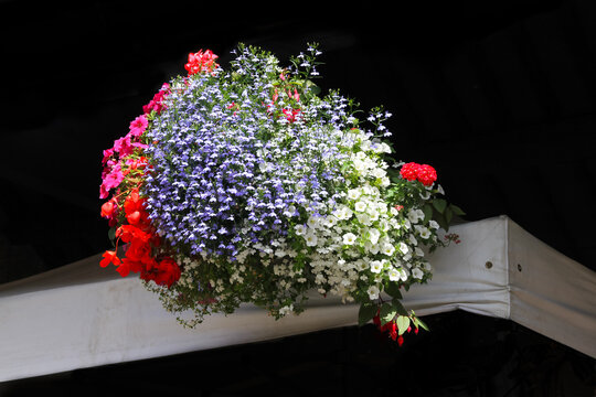Enormous hanging basket full of beautiful flowers in a variety of colours cheering up the outside of a building in England UK