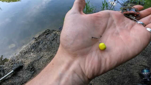 Fisherman holding method feeder rig with yellow pop-up boilie bait and hook, preparing for carp fishing by a calm pond.