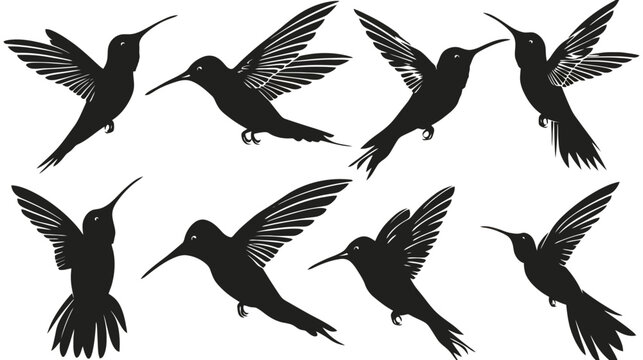 Hummingbird silhouette vector collection, set of 8 flying bird icons, black colibri shapes for nature branding and logo design