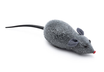 Fototapeta premium Grey fuzzy mouse cat toy with black tail isolated on white background