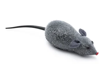 Grey fuzzy mouse cat toy with black tail isolated on white background © ValentinValkov