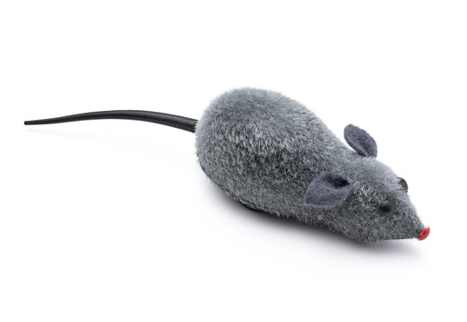 Grey fuzzy mouse cat toy with black tail isolated on white background