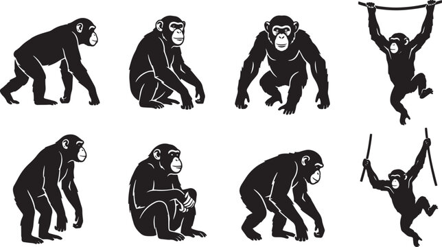Monkey icons, primate silhouettes, black monkey illustrations, animal graphics isolated on Transparent Background