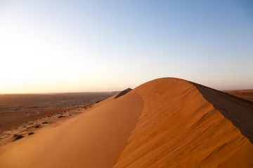 Wahiba Sands desert landscape, Oman © elleonzebon