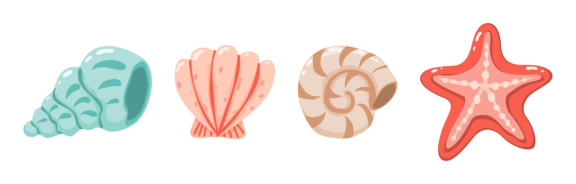 Collection of colorful sea shells and starfish isolated. Cute coastal marine elements for summer, beach and ocean themed designs. Cartoon style. Vector illustration