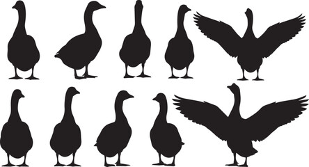 Geese silhouettes in various poses against a white background for design © SD DESIGN STUDIO