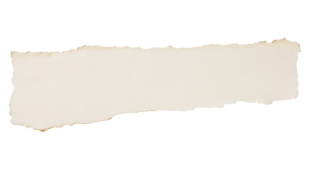 Rough torn beige paper strip with burnt edges, isolated on transparent background