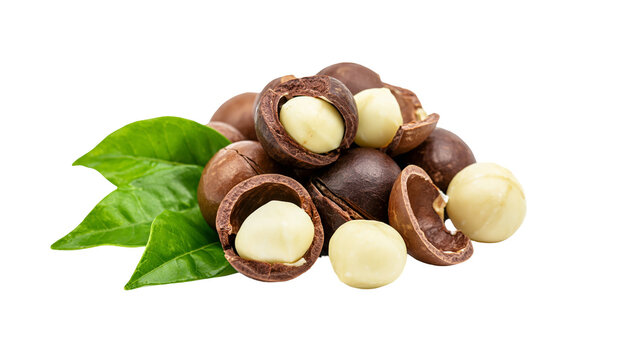 Heap of whole and cracked macadamia nuts with green leaves, isolated on transparent background