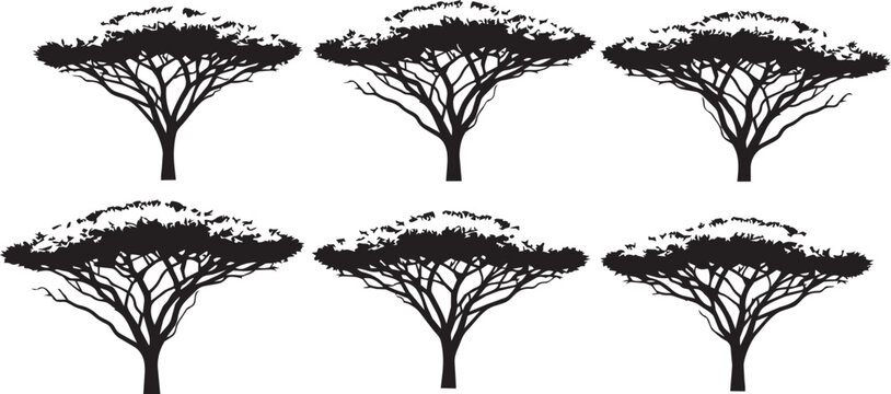 Six acacia trees silhouetted against a bright white background in a repeating pattern
