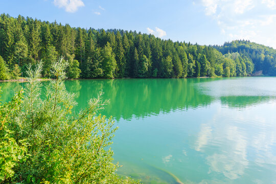 Turquoise Lech River Reservoir Surrounded by Dense Green Forest in Bavaria