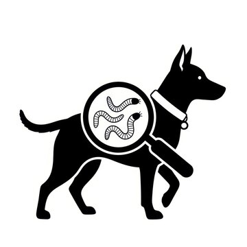 Black silhouette of a dog being examined with a magnifying glass to find parasitic worms or intestinal parasites